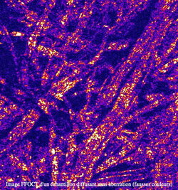Image FFOCT d'un échantillon diffusant sans aberration (fausses&nbsp;(...)